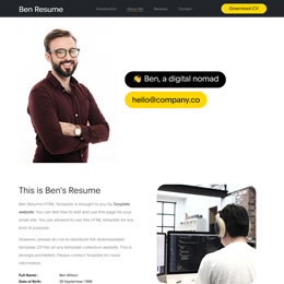 Ben Resume Preview